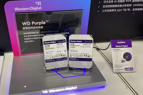 西部數據亮相2023物聯網產業大會 以專業存儲與數據處理方案，賦能萬物智聯新時代